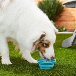 Frisco Silicone Collapsible Travel Bowl Set 9 Frisco Silicone Collapsible Travel Bowl Set -Frisco Shop 216033 PT7. AC SS1800 V1605661035