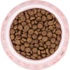 Frisco Pink Cute Cats Melamine Bowl -Frisco Shop 216043 PT4. AC SS1800 V1591020694