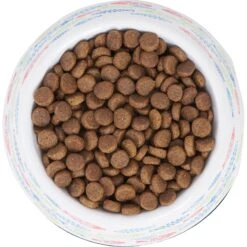 Frisco Colorful Fish Melamine Bowl -Frisco Shop 216047 PT4. AC SS1800 V1591020721