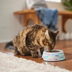 Frisco Colorful Fish Melamine Bowl -Frisco Shop 216047 PT7. AC SS1800 V1633025238