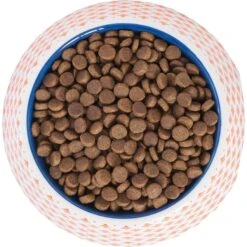 Frisco Southwest Melamine Bowl 11 Frisco Southwest Melamine Bowl -Frisco Shop 216064 PT4. AC SS1800 V1591021009