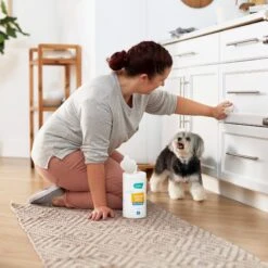 Frisco Vinegar Cleaning Wipes, 70 Count 9 Frisco Vinegar Cleaning Wipes, 70 Count -Frisco Shop 222151 PT4. AC SS1800 V1602847932