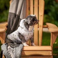 Frisco Mediumweight Silver Polka Dotted Insulated Dog & Cat Coat 13 Frisco Mediumweight Silver Polka Dotted Insulated Dog & Cat Coat -Frisco Shop 224017 PT7. AC SS1800 V1601579462