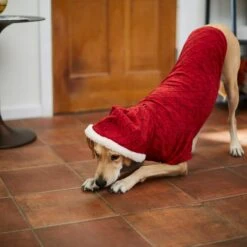 Frisco Textured Knit Dog & Cat Hoodie -Frisco Shop 224233 PT7. AC SS1800 V1601578309