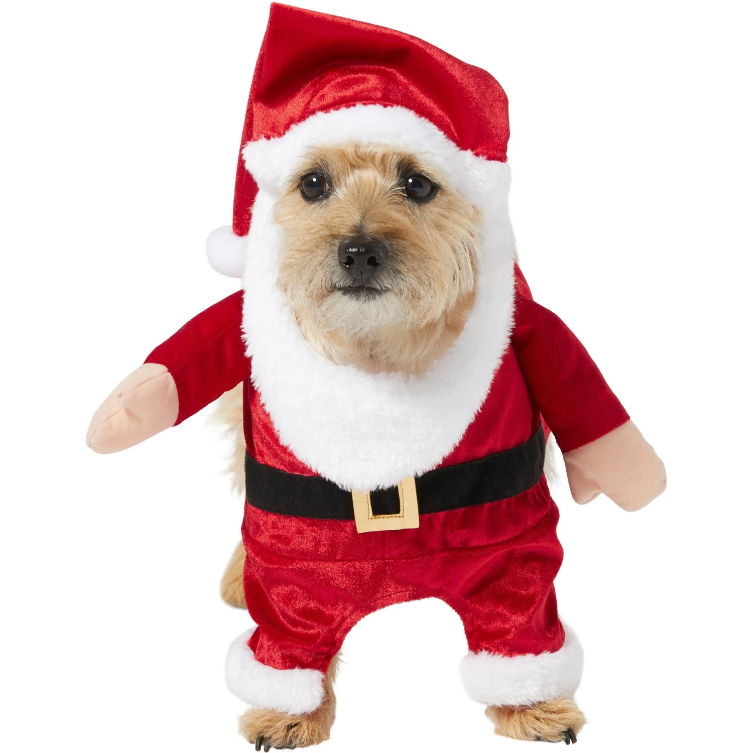 Frisco Front Walking Santa Dog & Cat Costume, 1 Count 1 Frisco Front Walking Santa Dog & Cat Costume, 1 Count