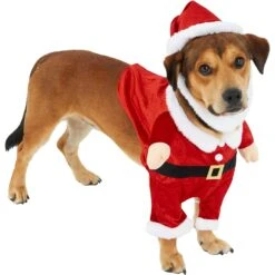 Frisco Front Walking Santa Dog & Cat Costume, 1 Count 9 Frisco Front Walking Santa Dog & Cat Costume, 1 Count -Frisco Shop 228785 PT3. AC SS1800 V1631300866