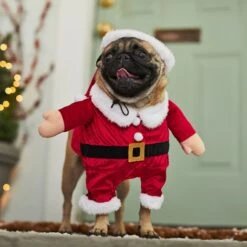 Frisco Front Walking Santa Dog & Cat Costume, 1 Count 12 Frisco Front Walking Santa Dog & Cat Costume, 1 Count -Frisco Shop 228785 PT7. AC SS1800 V1601560869