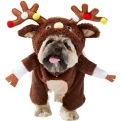 Frisco Front Walking Reindeer Dog & Cat Costume, 1 Count -Frisco Shop 228790 PT2. AC SS1800 V1636731101