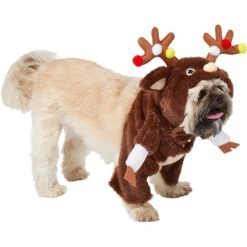 Frisco Front Walking Reindeer Dog & Cat Costume, 1 Count -Frisco Shop 228790 PT3. AC SS1800 V1631299657