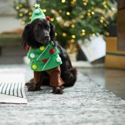 Frisco Front Walking Christmas Tree Dog & Cat Costume 12 Frisco Front Walking Christmas Tree Dog & Cat Costume -Frisco Shop 229164 PT7. AC SS1800 V1601385981