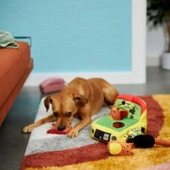 Frisco Retro Smack-a-Squirrel Hide & Seek Puzzle Plush Squeaky Dog Toy 7 Frisco Retro Smack-a-Squirrel Hide & Seek Puzzle Plush Squeaky Dog Toy -Frisco Shop 230313 PT3. AC SS1800 V1601947334