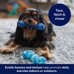 Frisco Retro Denim & Swirl TPR Bone Squeaky Dog Toy -Frisco Shop 230341 PT4. AC SS1800 V1695748896
