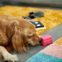 Frisco Retro Funky Van TPE Treat Dispenser Dog Toy, Medium/Large -Frisco Shop 230383 PT4. AC SS1800 V1669908614