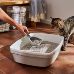 Frisco Lightweight Scented Clumping Cat Litter 11 Frisco Lightweight Scented Clumping Cat Litter -Frisco Shop 230718 PT4. AC SS1800 V1659023572