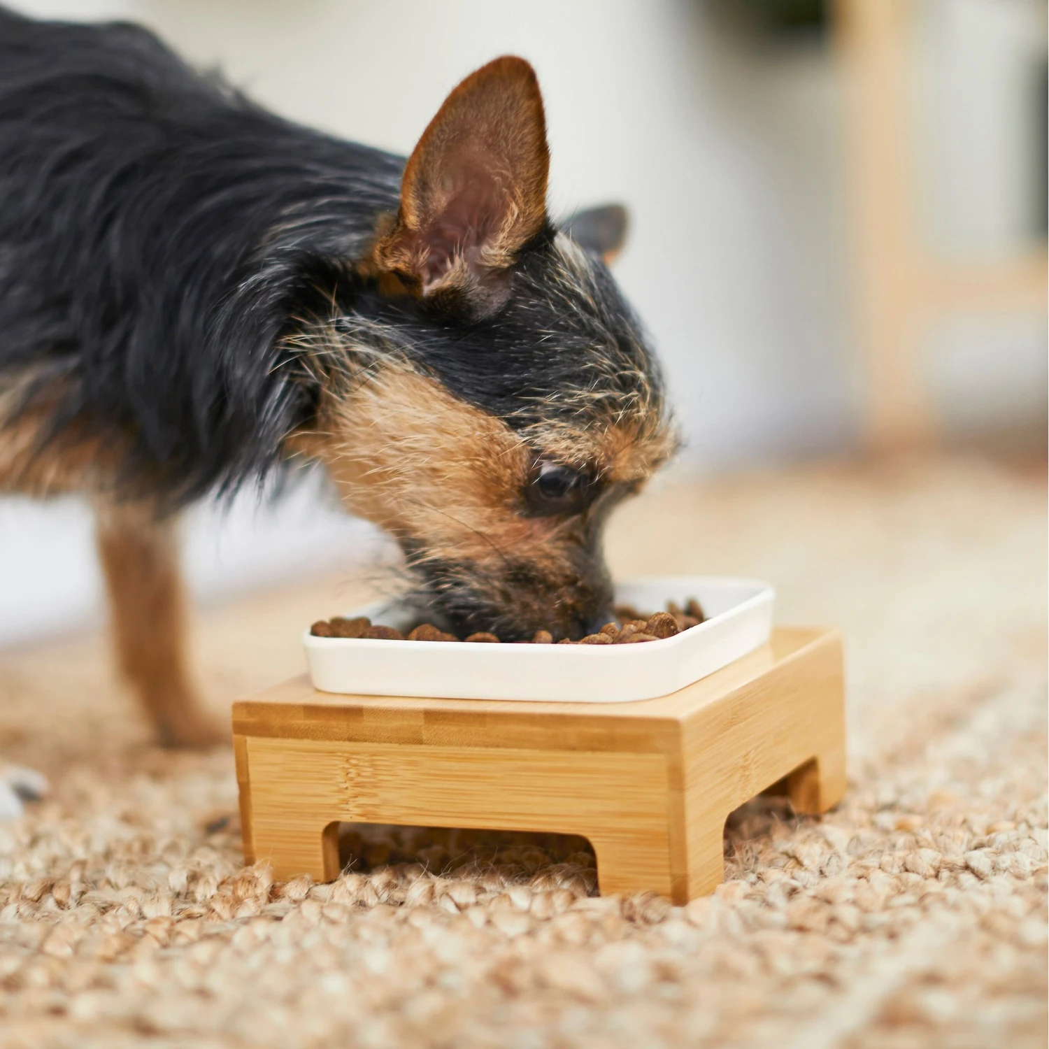 Frisco Square Melamine Dog & Cat Bowl With Bamboo Stand 7 Frisco Square Melamine Dog & Cat Bowl With Bamboo Stand - Image 7