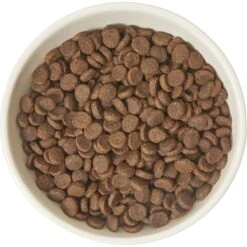 Frisco Double-Sided Ceramic Elevated Cat Bowl 9 Frisco Double-Sided Ceramic Elevated Cat Bowl -Frisco Shop 232081 PT3. AC SS1800 V1605145964