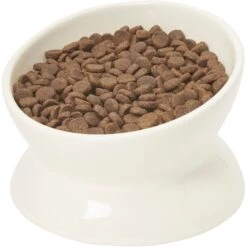 Frisco Double-Sided Ceramic Elevated Cat Bowl 10 Frisco Double-Sided Ceramic Elevated Cat Bowl -Frisco Shop 232081 PT6. AC SS1800 V1684760471