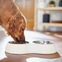 Frisco Stainless Steel Double Dog Bowls With Melamine Stand -Frisco Shop 232092 PT7. AC SS1800 V1693015855