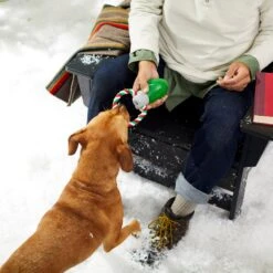 Frisco Holiday Christmas Light Rope With TPR Squeaky Dog Toy -Frisco Shop 233278 PT2. AC SS1800 V1601641574