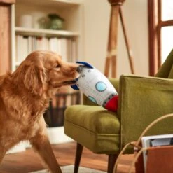 Frisco Ballistic Nylon Plush Squeaky Rocket Ship Dog Toy -Frisco Shop 233581 PT3. AC SS1800 V1600973767