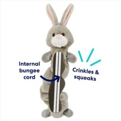 Frisco Bunny Bungee Plush Squeaky Dog Toy 8 Frisco Bunny Bungee Plush Squeaky Dog Toy -Frisco Shop 233612 PT2. AC SS1800 V1691784247