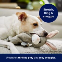 Frisco Bunny Bungee Plush Squeaky Dog Toy 10 Frisco Bunny Bungee Plush Squeaky Dog Toy -Frisco Shop 233612 PT5. AC SS1800 V1691783971