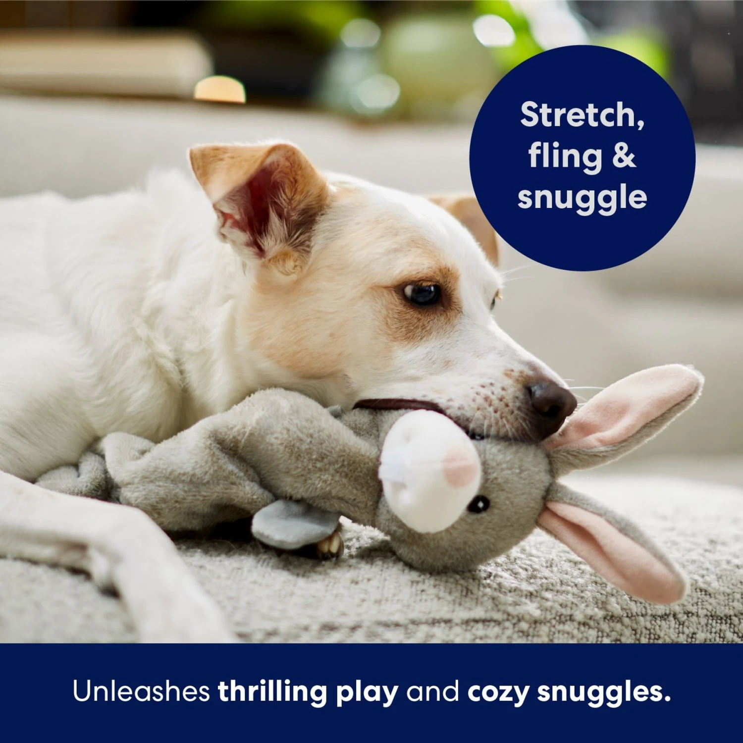 Frisco Bunny Bungee Plush Squeaky Dog Toy 5 Frisco Bunny Bungee Plush Squeaky Dog Toy - Image 5