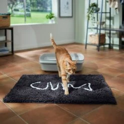 Frisco Microfiber Chenille Fish Bone Litter Mat -Frisco Shop 236242 PT3. AC SS1800 V1676556249