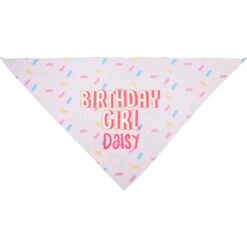 Frisco Birthday Girl Personalized Dog & Cat Bandana -Frisco Shop 238333 PT3. AC SS1800 V1618509734