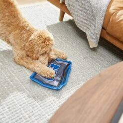 Frisco Zoomies & Chill TV Flat Plush Squeaky Dog Toy 7 Frisco Zoomies & Chill TV Flat Plush Squeaky Dog Toy -Frisco Shop 241685 PT6. AC SS1800 V1610768399