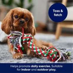 Frisco Double Knot Tri-Color Rope Fetch Dog Toy -Frisco Shop 242149 PT3. AC SS1800 V1695241915