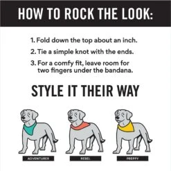 Frisco Hanukkah Personalized Dog & Cat Bandana 10 Frisco Hanukkah Personalized Dog & Cat Bandana -Frisco Shop 242799 PT2. AC SS1800 V1618509758