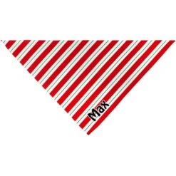 Frisco Peppermint Personalized Dog & Cat Bandana -Frisco Shop 242807 PT3. AC SS1800 V1618507377