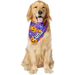 Frisco Halloween Pumpkins Personalized Dog & Cat Bandana -Frisco Shop 242815 PT6. AC SS1800 V1618509475