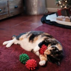 Frisco Holiday Moppy Ball Cat Toy With Catnip, 3 Count 7 Frisco Holiday Moppy Ball Cat Toy With Catnip, 3 Count -Frisco Shop 244935 PT2. AC SS1800 V1602172003
