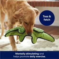 Frisco Alligator Stuffing-Free Flat Plush Squeaky Dog Toy -Frisco Shop 245943 PT2. AC SS1800 V1678723898