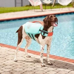 Frisco Active Dog Life Jacket -Frisco Shop 247894 PT7. AC SS1800 V1616506092