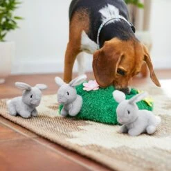 Frisco Spring Bunny Burrow Hide & Seek Plush Squeaky Dog Toy -Frisco Shop 248039 PT5. AC SS1800 V1608767863