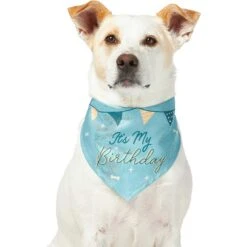 Frisco It's My Birthday Dog & Cat Bandana, Blue -Frisco Shop 248697 PT2. AC SS1800 V1633081896