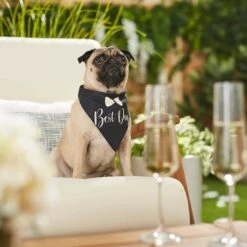 Frisco Wedding Reversible Dog & Cat Bandana -Frisco Shop 248712 PT5. AC SS1800 V1632432987