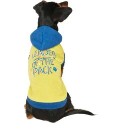 Frisco Leader Of The Pack Dog & Cat Hoodie 9 Frisco Leader Of The Pack Dog & Cat Hoodie -Frisco Shop 248905 PT2. AC SS1800 V1637686650