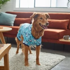 Frisco Happy Shark Dog & Cat Jersey PJs 11 Frisco Happy Shark Dog & Cat Jersey PJs -Frisco Shop 249122 PT7. AC SS1800 V1614276183