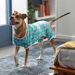 Frisco Teal Floral Dog & Cat Jersey PJs -Frisco Shop 249132 PT5. AC SS1800 V1637725019