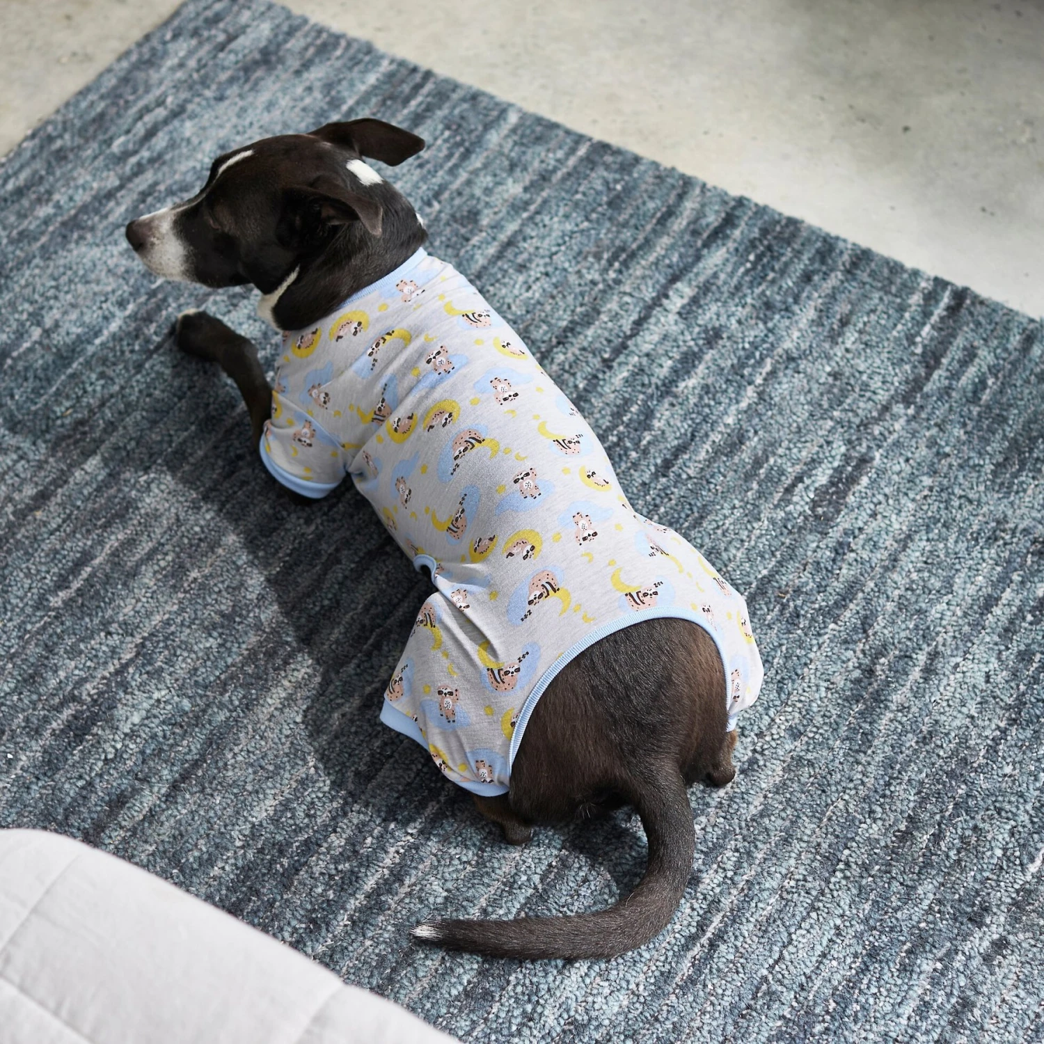 Frisco Sleepy Sloths Dog & Cat Jersey PJs 5 Frisco Sleepy Sloths Dog & Cat Jersey PJs - Image 5