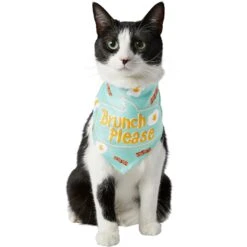 Frisco Brunch Please Dog & Cat Bandana -Frisco Shop 249207 PT2. AC SS1800 V1696597732