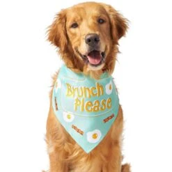 Frisco Brunch Please Dog & Cat Bandana -Frisco Shop 249207 PT3. AC SS1800 V1696597730