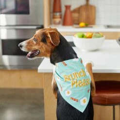 Frisco Brunch Please Dog & Cat Bandana -Frisco Shop 249207 PT5. AC SS1800 V1696597732