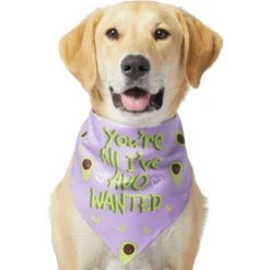 Frisco You're All I've Avo Wanted Dog & Cat Bandana -Frisco Shop 249292 PT2. AC SS1800 V1637723806