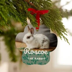 Frisco Holly Leaves Paw Shape Metal Personalized Dog & Cat Holiday Ornament 5 Frisco Holly Leaves Paw Shape Metal Personalized Dog & Cat Holiday Ornament -Frisco Shop 249375 PT2. AC SS1800 V1608350848