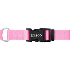 Frisco Solid Nylon Personalized Martingale Dog Collar -Frisco Shop 249561 PT5. AC SS1800 V1628877460